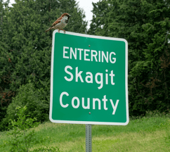 Skagit County, Washington