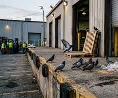 loading docks