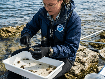 marine biologist