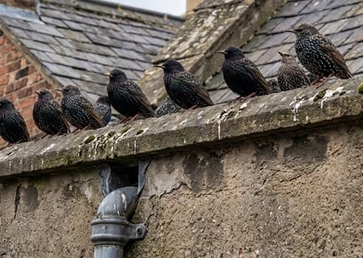 on ledge