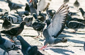 pexels-photo-14930285